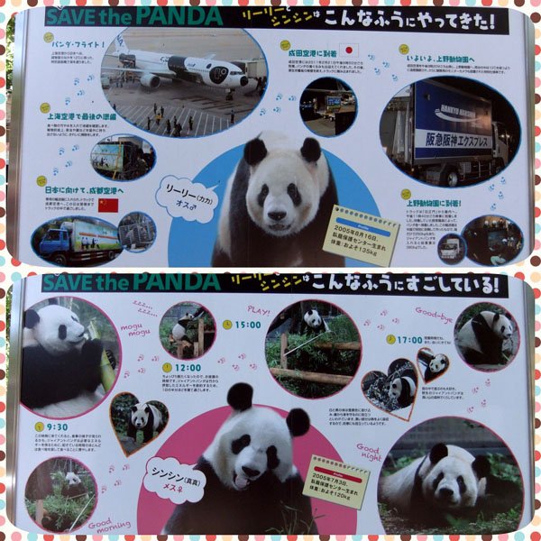 0828 上野動物園05