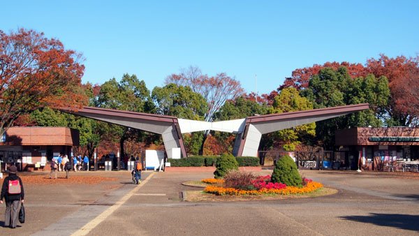 1127 昭和記念公園03.JPG