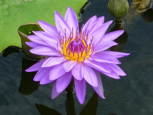 0823-植物園11.jpg