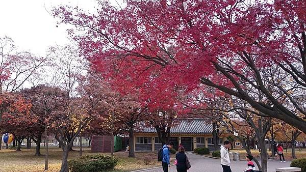 11.21 慶州 天馬塚 (21).JPG