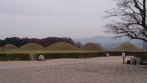 11.21 慶州 天馬塚 (29).JPG