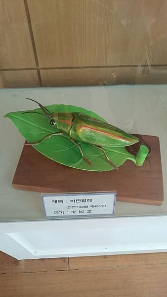 11.21 慶州 皇宮陵苑 (2).JPG