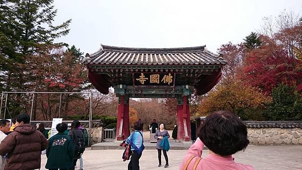 11.21 慶州 佛國寺 (1).JPG