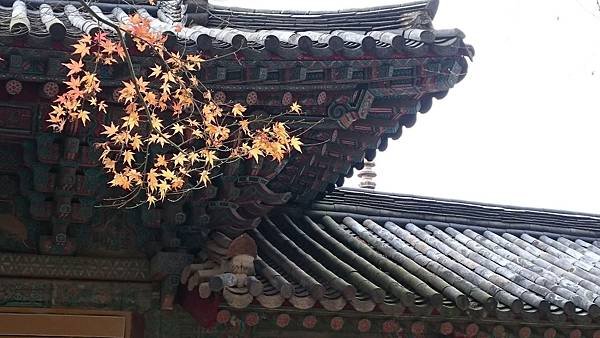 11.21 慶州 佛國寺 (8).JPG
