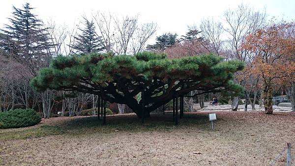 11.21 慶州 佛國寺 (2).JPG
