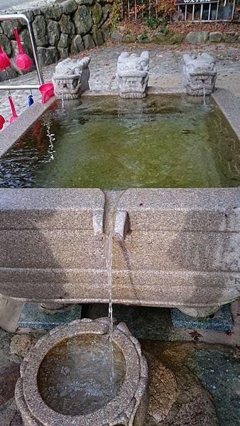 11.21 慶州 佛國寺 (5).JPG
