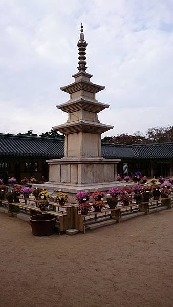 11.21 慶州 佛國寺 (11).JPG