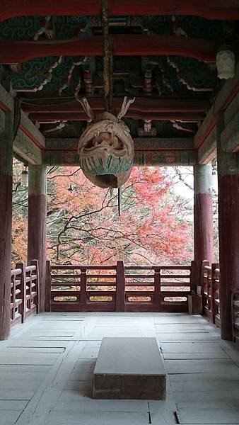 11.21 慶州 佛國寺 (19).JPG