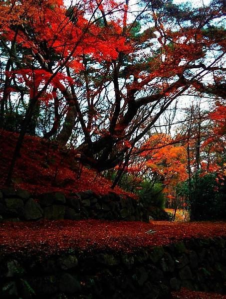 11.21 慶州 佛國寺 (32).jpg