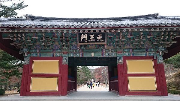 11.21 慶州 佛國寺 (25).JPG