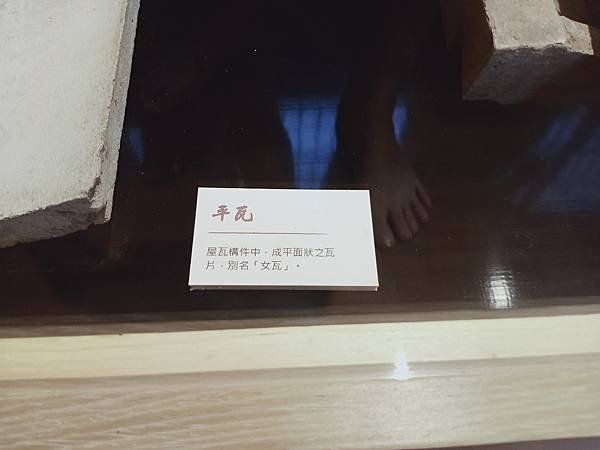 IMG20211010140323.jpg
