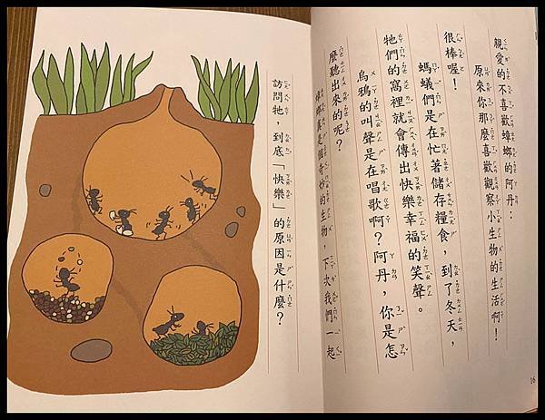 [橋梁書]低年級入門好幫手-好好讀小學堂