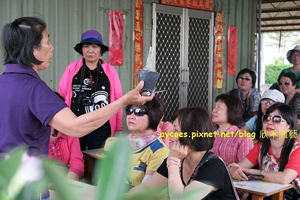 鹿仔草產業與文化遊學推廣活動.jpg