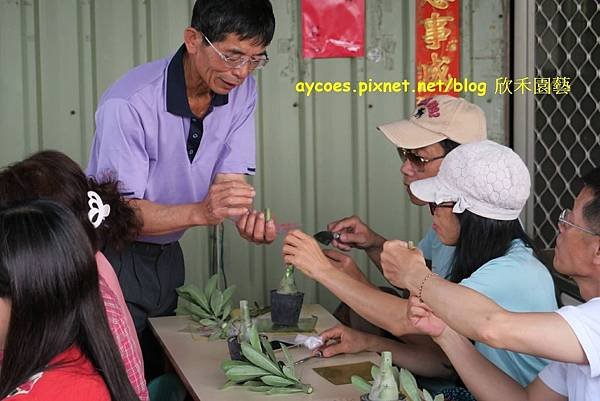 鹿仔草產業與文化遊學推廣活動-1.jpg