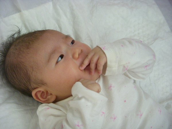 DSCN3036.JPG