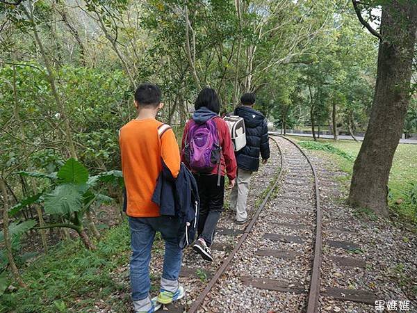 林田山 (59).JPG