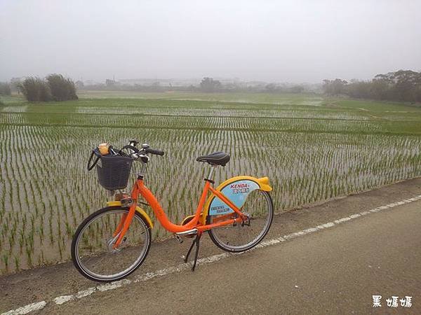 中壢UBike (6).jpg