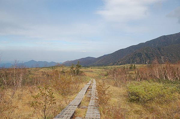 0569弥陀ヶ原_遊步道.JPG