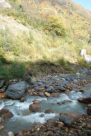 1089新島々~上高地沿途風景.JPG