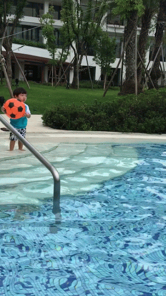 IMG_2921-ANIMATION.gif