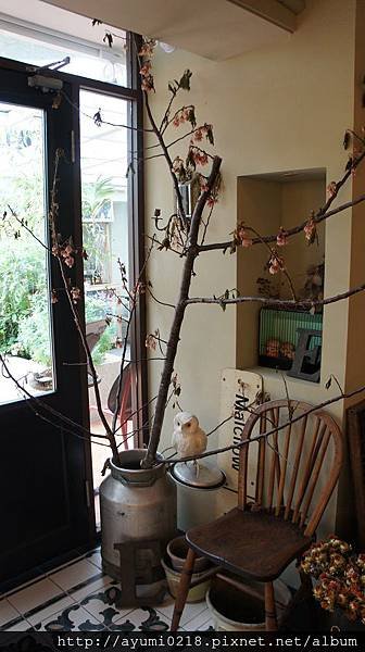 DSC04425.JPG