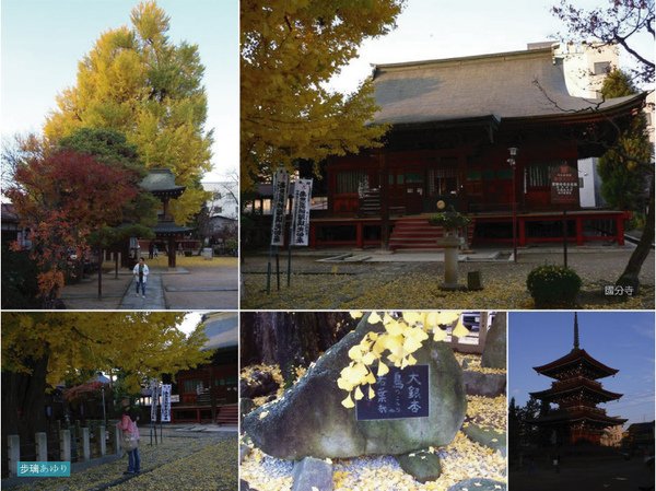 高山市 國分寺