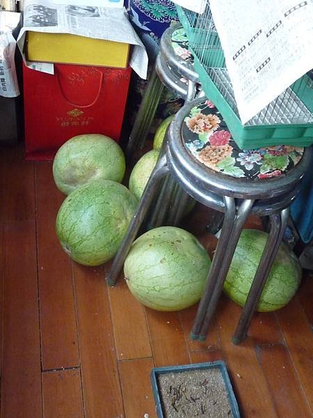 P1050330.JPG