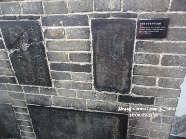 200909250178.JPG