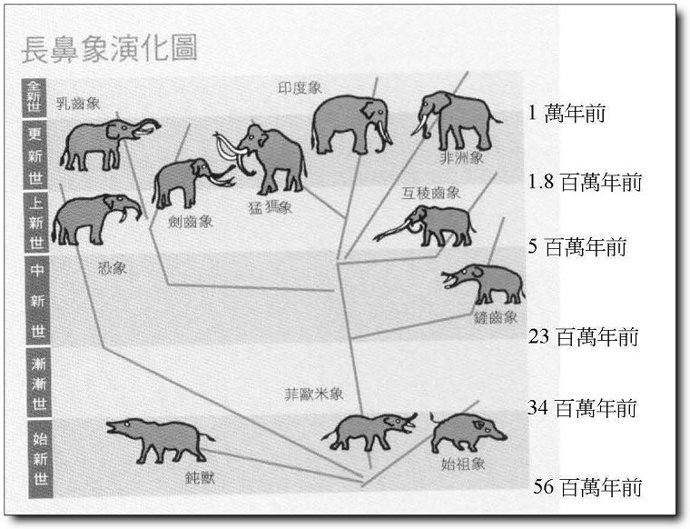 大象的演化blog_頁面_1.jpg