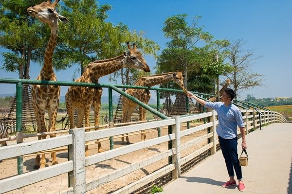 WMW_4655Singha Park.jpg