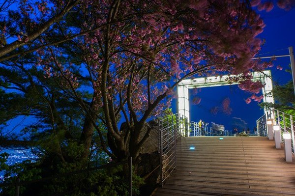 WMW_1492前山展望台.jpg