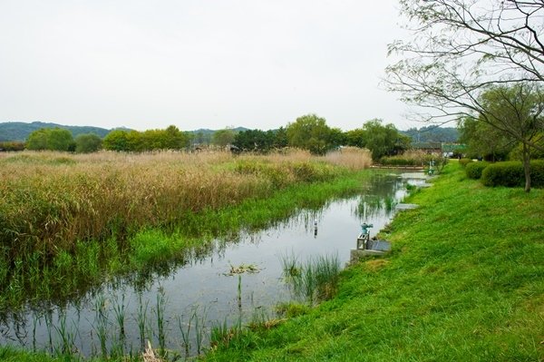 WMW_4767.jpg