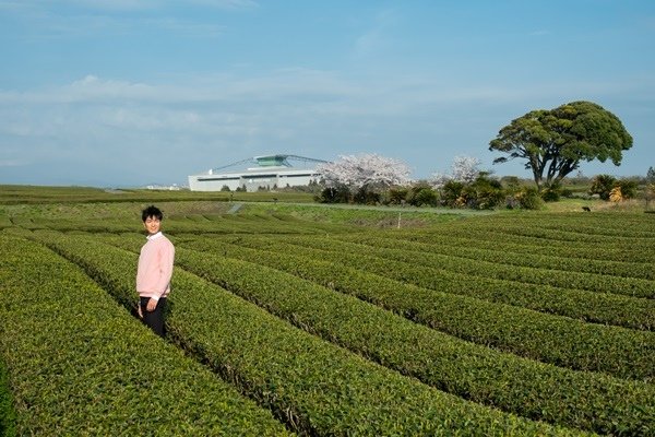 OSULLOC 綠茶博物館1.jpg