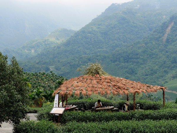 太興大地茶席  阿里山四季茶旅.JPG