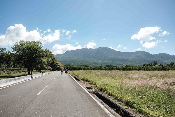 【臺東縣政府】龍田村茶園小路2.jpg