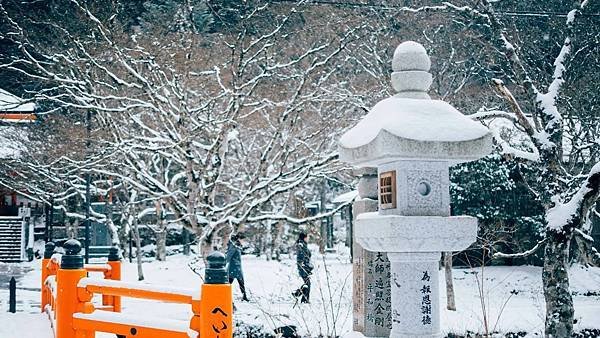 Travel Tips／日本初雪提前報到！盤點日韓冬季行程推