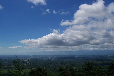 117_2006