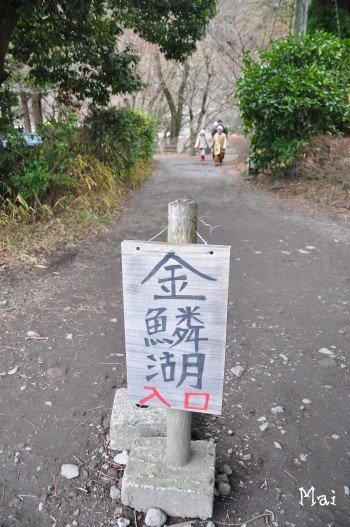 DSC_0303_02.JPG