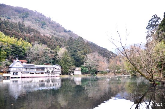 DSC_0267_02.JPG