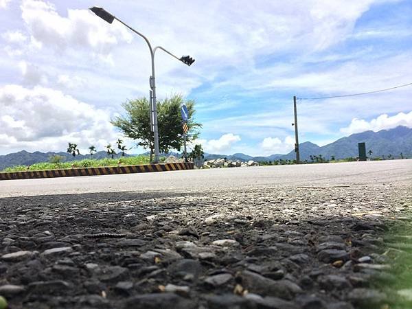 IMG_2516