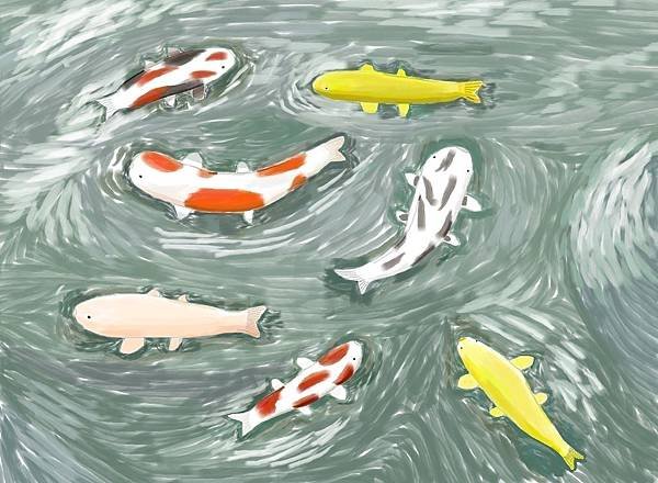 6255-錦鯉魚20160318.jpg