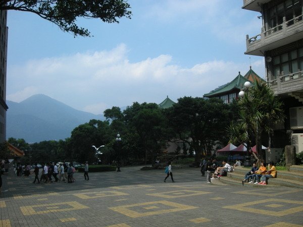 1517ba38287d28.jpg