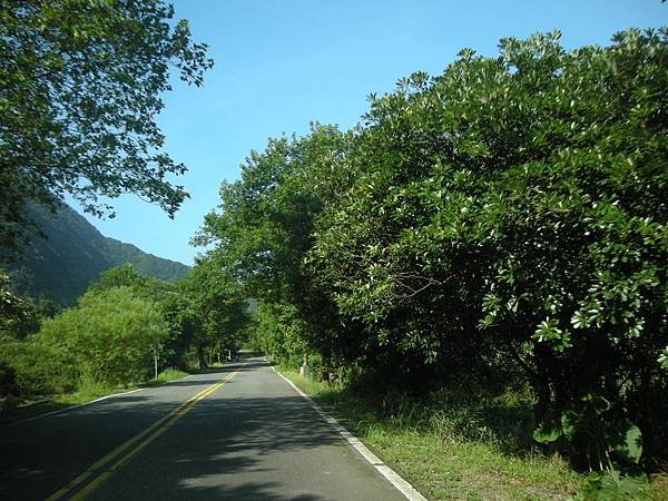 5610-陽金公路-DSCN5099.JPG