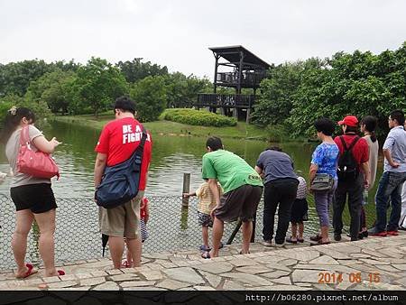 20140615八德埤塘生態公園10.JPG