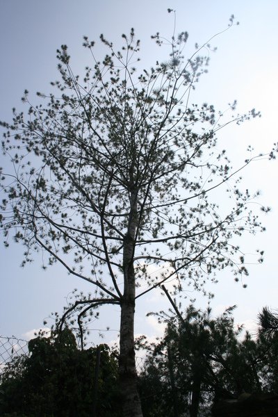 照片 086.jpg