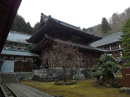 SAM_9725