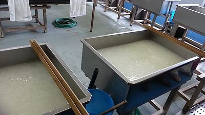20150419_102610