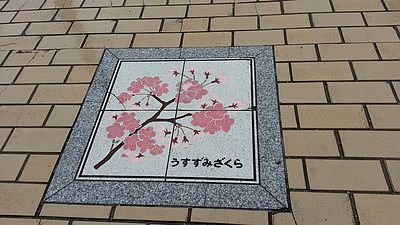 20150419_115918