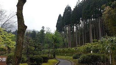 20150419_143921