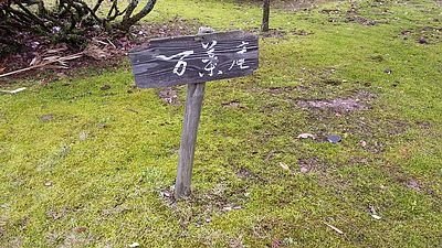 20150419_144007